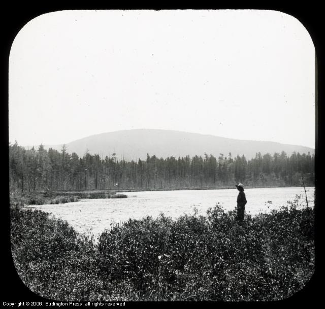 Bog Pond